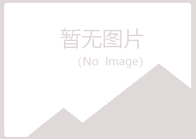 兴山区新蕾水泥有限公司